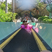 Picture 028
